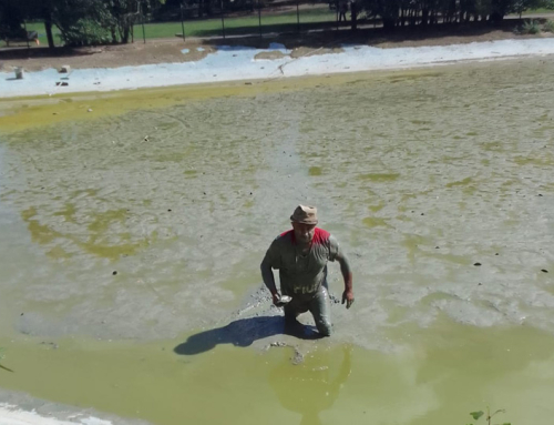 Parco Franco Augusto, Forlì (FC)